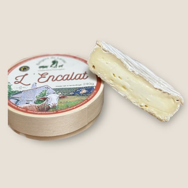 Brebis Encalat