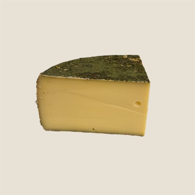 Frühlingswald